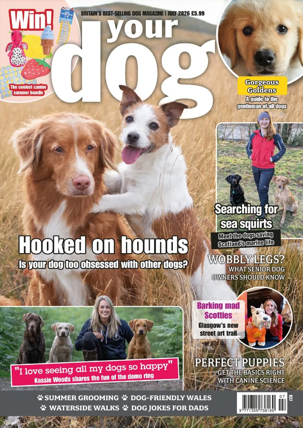 Your Dog Magazine